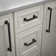 Parow  Appliance Pull
