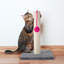 Grattoir intérieur pour chat 17 pouces PETMAker-70920918-70897491