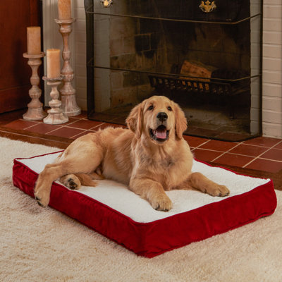 Lit orthopédique pour chien Lind Stockholm