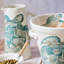 Tartaruga Terra Bianca Pitcher