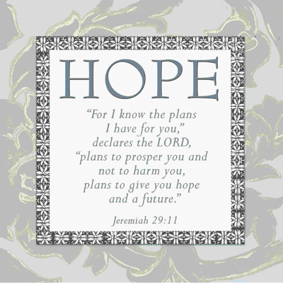 " Gray Paisly Hope 2 "