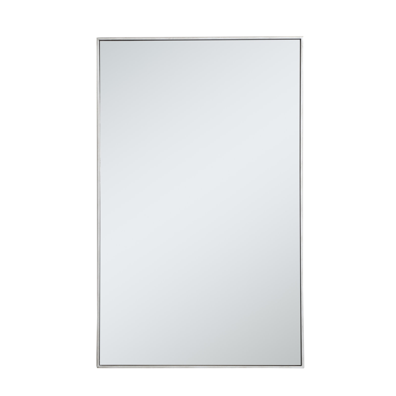 Sabine Metal Rectangle Wall Mirror, 48" x 30", Silver