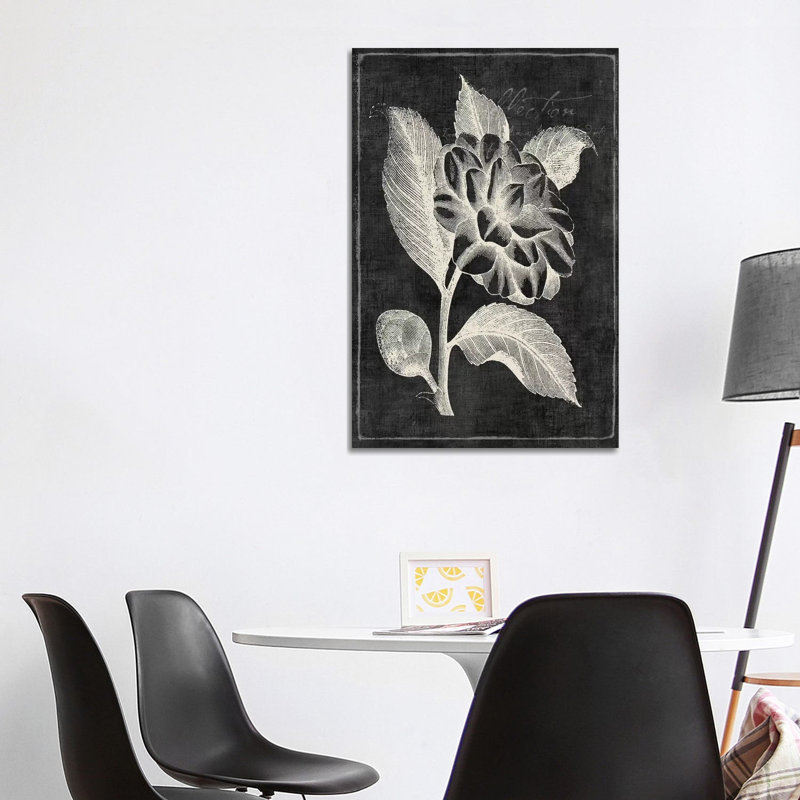 Black Botanical II by PI Galerie - Wrapped Canvas Panoramic Painting, 101.6 cm H x 66.04 cm W x 1.91 cm D