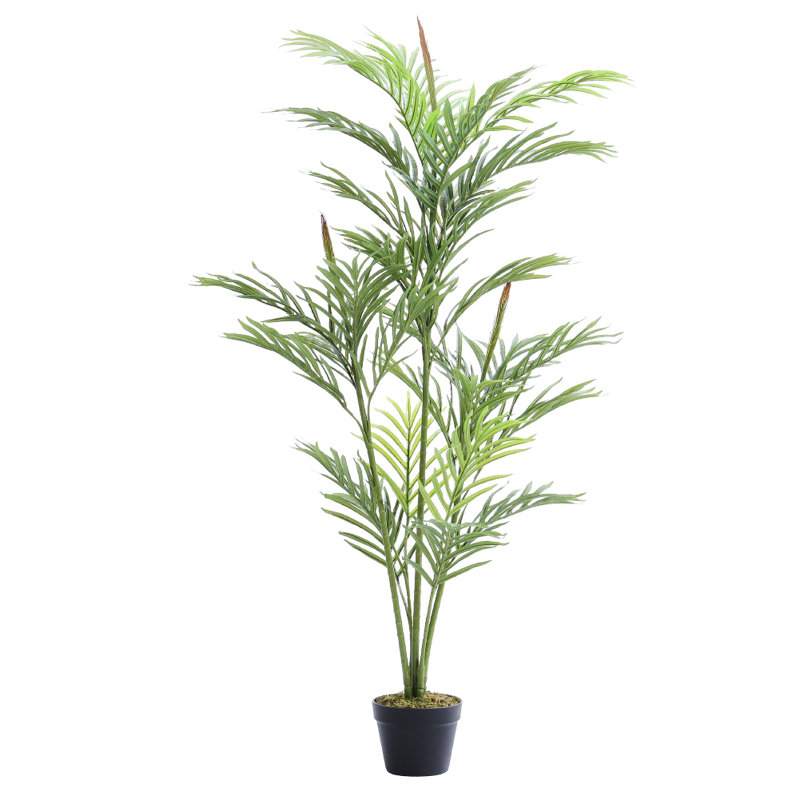 150cm Faux Bonsai Plant in Fabric；Plastic Freestanding