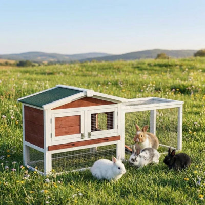 Rabbit Playpen