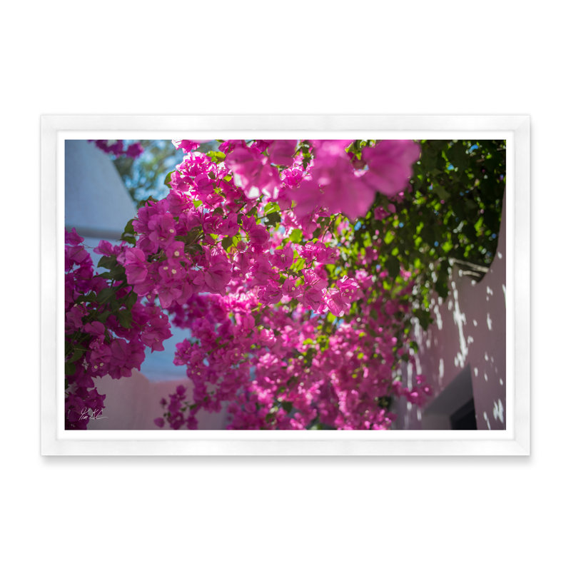 Passerelle de Bougainvillée, H 29 po x l 42 po x P 1,5 po, Cadre blanc