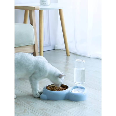 Ensemble de bols pour animaux de compagnie double avec distributeur d'eau automatique, mangeoire et abreuvoir en acier inoxydable pour chats et petits chiens, anti-basculement, sans bouche humide, facile à nettoyer