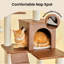 Tour pour chat 64 po-1077888263-1077888261