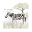 «Serengeti Zebra Square» par Tara Reed - reproduction imprimée-52991605-52991606-52991607