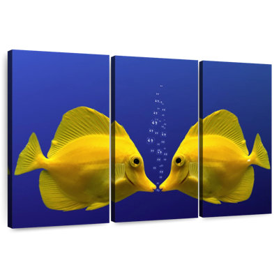 Brampt Kissing Yellow Tang Fish