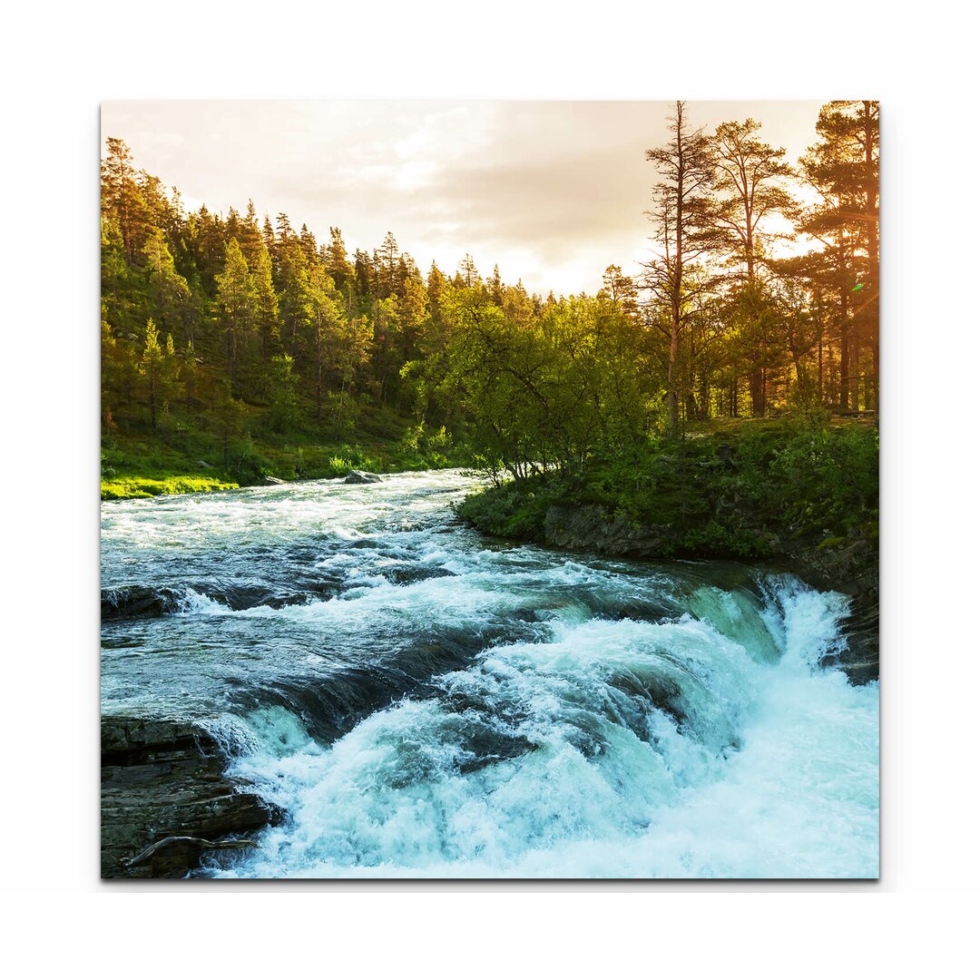 Leinwandbild Wald mit Fluss in Norwegen