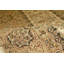 Brookhaven Oriental Area Rug in Beige