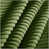 Green n'est pas disponible