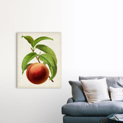 " Antique Fruit V " Painting Print