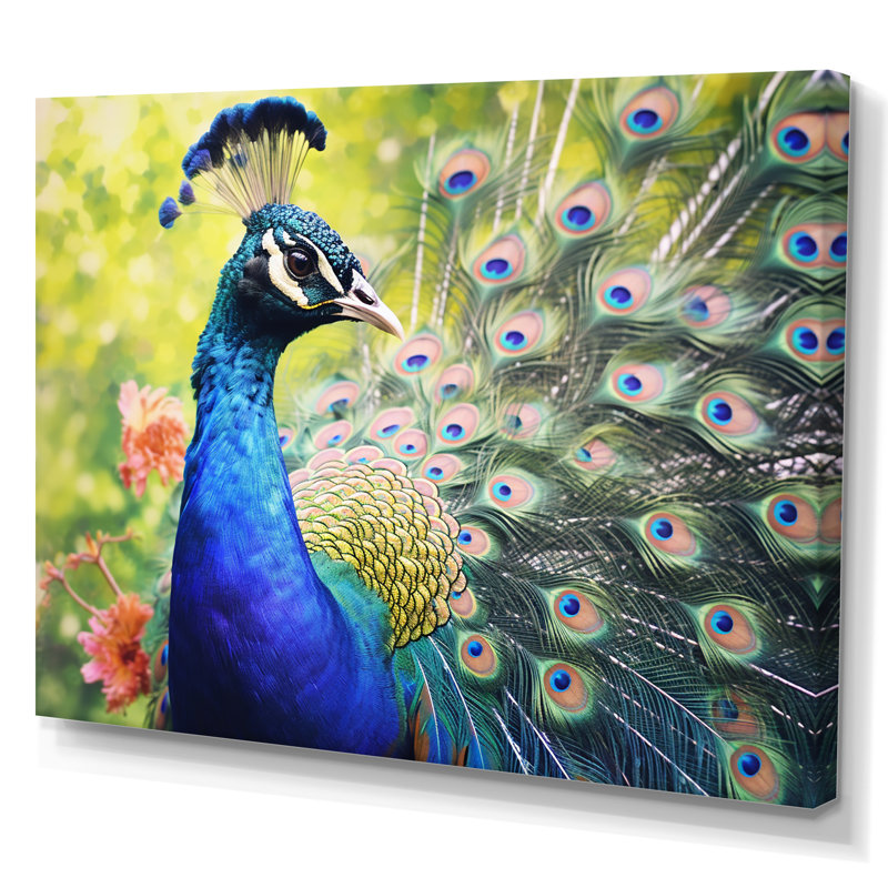 «Vibrant Peacock I» - art mural paon, Toile tendue, H 16 po x l 32 po x P 1 po