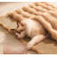 Dog Blankets-99189477
