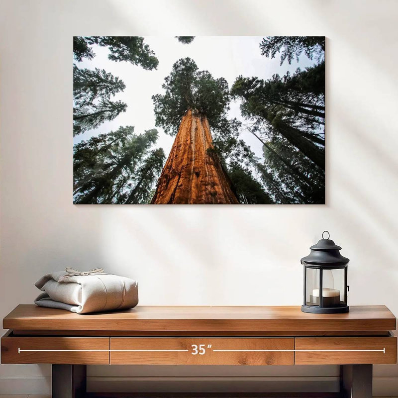 Harnek Giant Sequoias, 16" H x 24" W