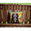 Coussin bernois bernois hippie
