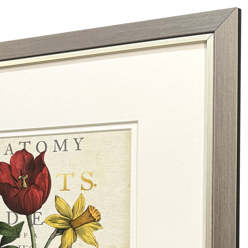Favorite Flowers II Framed Art