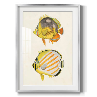" Watercolor Metric II "
