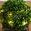 18 plantes