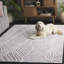 Tapis ivoire Maya 117-1899747356