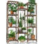 Chamberlyn Plant Stand-2046834886