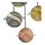 Coverson 5 - Light Polished Chrome Pendant