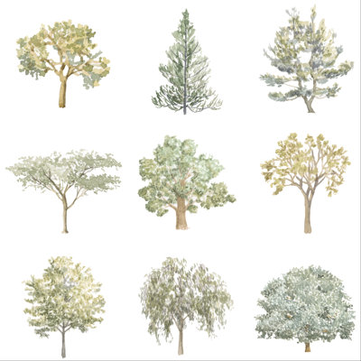 Variétés d'arbres I