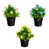 Assortiment 2