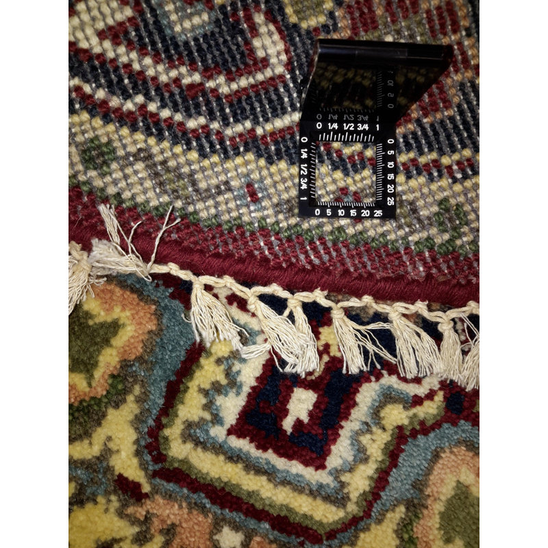 Kassiani Oriental Area Rug in Red