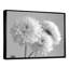 Monochromes blanc noir maman botanique beauté II - décoration murale mamans-1752048195-1752048217