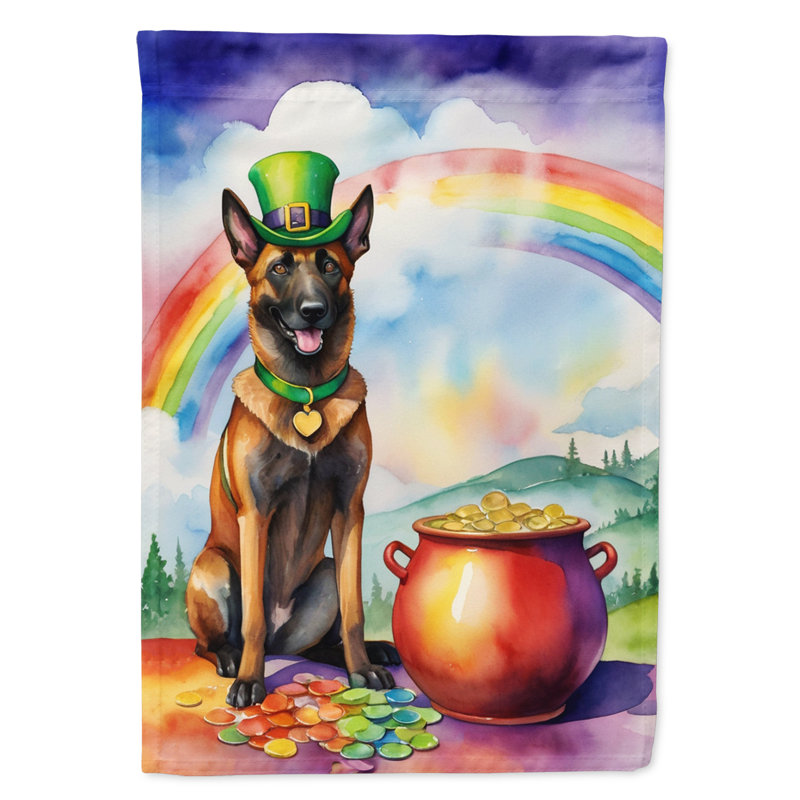 Drapeau double face en polyester H 40 po x l 28 po St Patrick's Day House