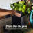 Greenline Fiberglass Jack Medium Indoor/Outdoor Square Cube Planter-51228281-51228225