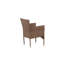 Annalia Aluminium DIning Chair-702898634-702898635