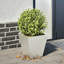 Chaely Metal Planter-726845222-726845218-722494822