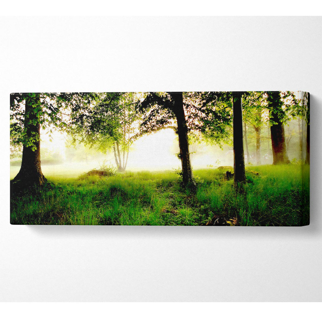 Morgennebel - Kunstdrucke auf Leinwand - Wrapped Canvas