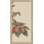 Birds And Fruit Triptych 3 Print by Lillian August