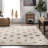 Trellis Wool Beige Area Rug-1406474079