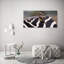 Birds And Zebra - Wrapped Canvas Print