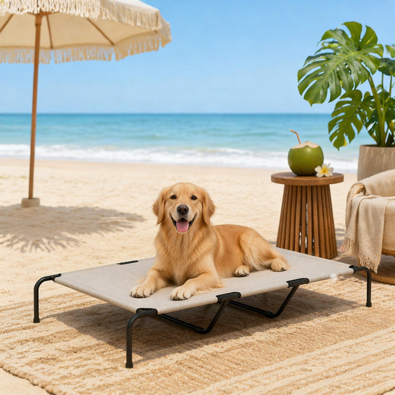 Grand lit pour animal de compagnie, lit surélevé pour chien
