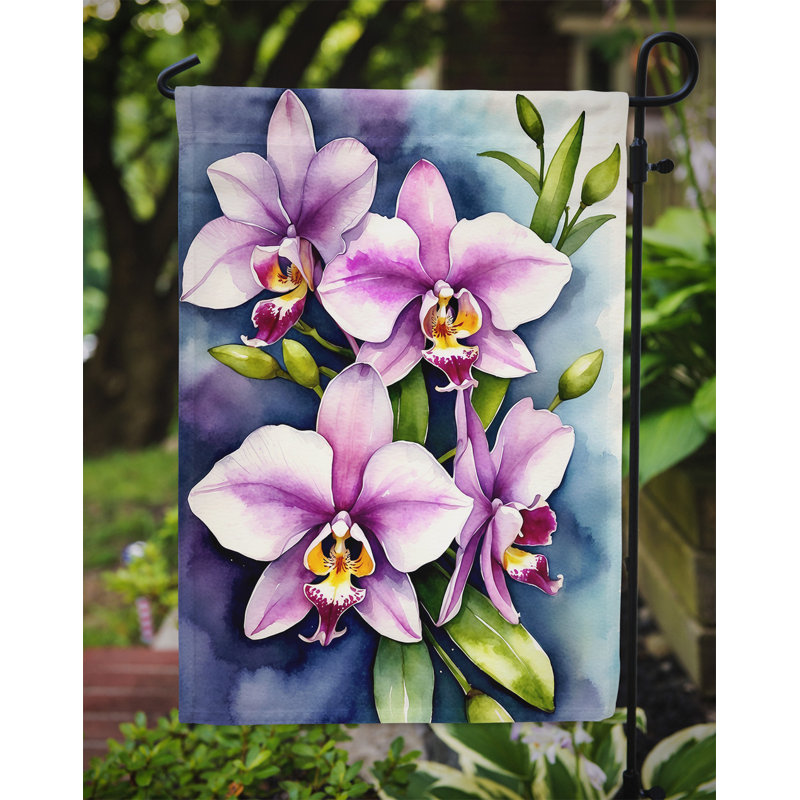 Orchidées paphiopedilum, drapeau du jardin, Orchidées Dendrobium