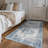 Lefkothea Joy Vintage Machine Washable Area Rug-128961312-93389941