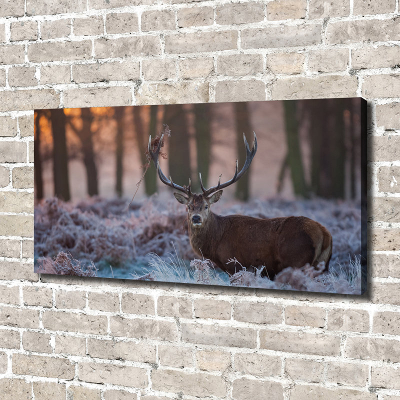 Deer At Sunrise - Wrapped Canvas Print