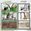 Plant Stand - Set of 10