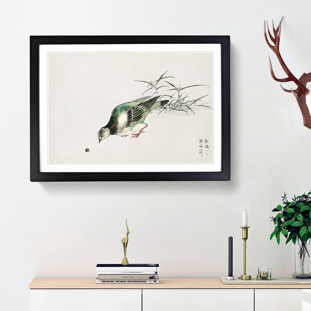 Eastern Turtle Dove by Numata Kashu - Picture Frame Painting Print