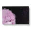 Stars Of Life In Abstract - Wrapped Canvas Print-55337055