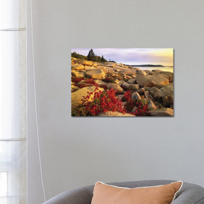 Atlantic Coast Near Thunder Hole, Acadia National Park, Maine III 1 Piece Wrapped Canvas Wall Art