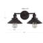 2 - Light Vanity Light