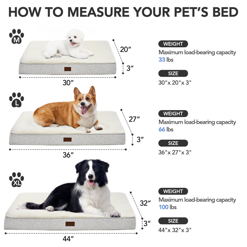 Lit orthopédique pour chien avec tapis antidérapant, Blanc, H 30 po x l 20 po x P 3 po